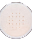 Translucent Powder Extra Fine